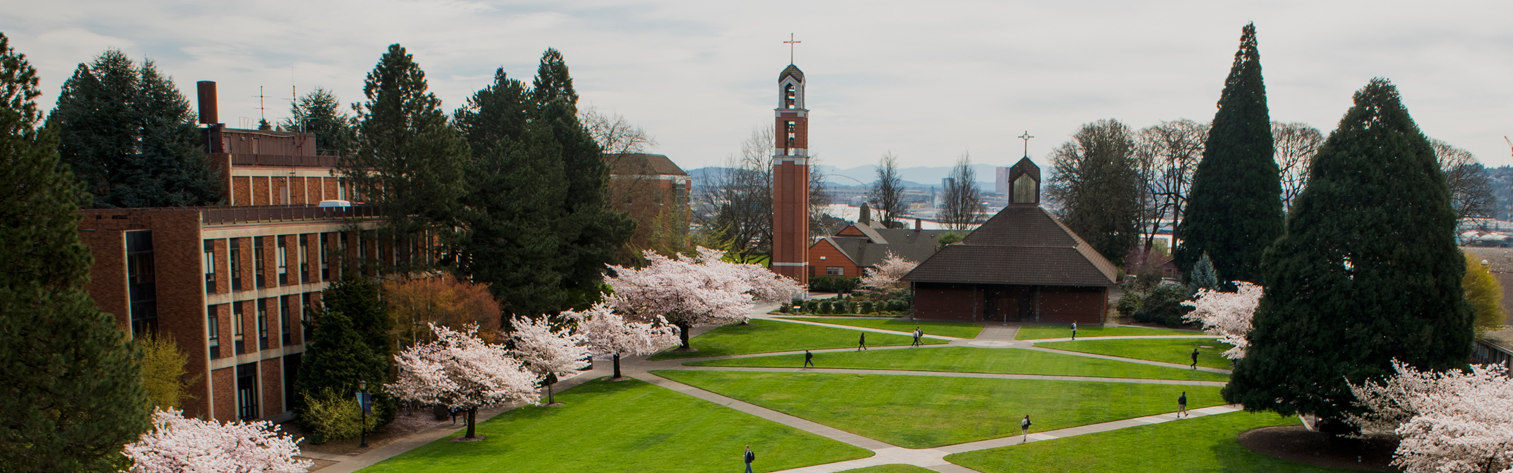 Academic quad with the bell tower in the background