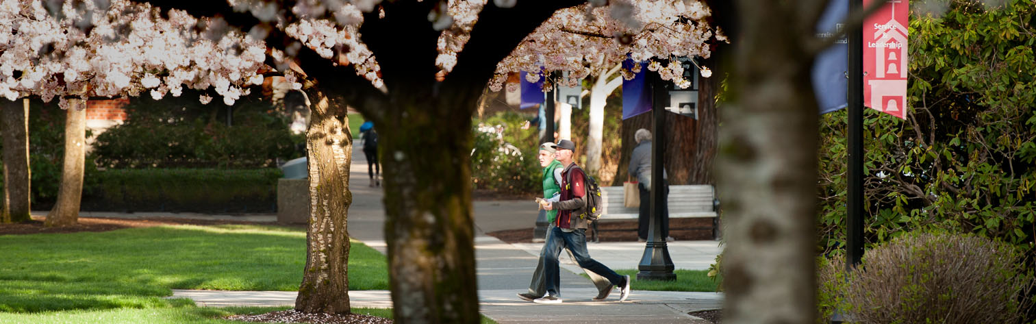 students walk on quad in spring