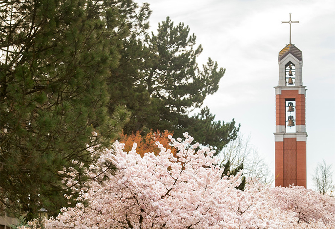 Belltower in Spring