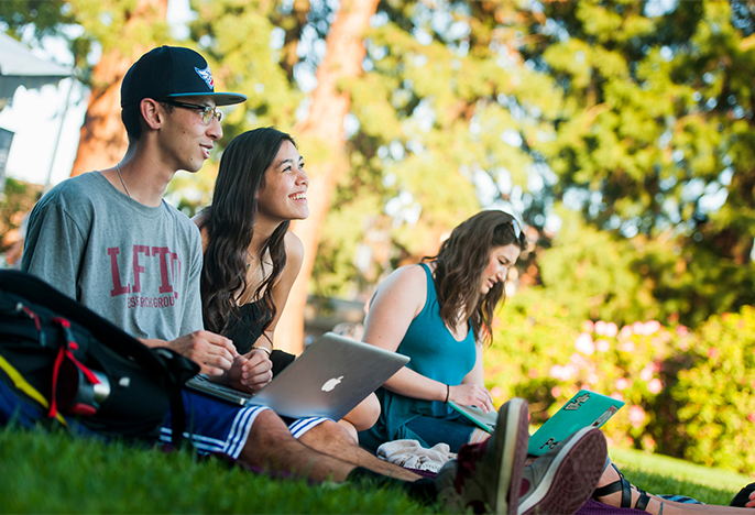 several students sitting outside on green grass on a sunny day, using laptops. 