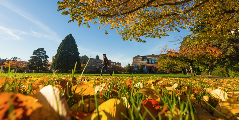 This is a picture of the Quad in the fall, with yellow and orange leaves in view.