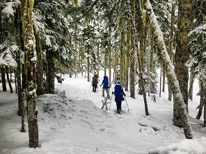 snowshoeing