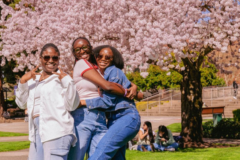 Three University of Portland students pose together on a sunny day in front of a large cherry blossom tree on campus.