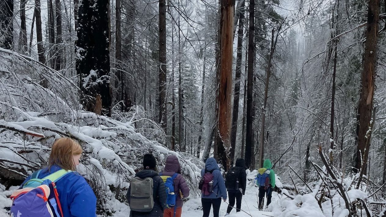 A line of students walking away from the camera on a snowy hiking trail in the wintery northwest woods.