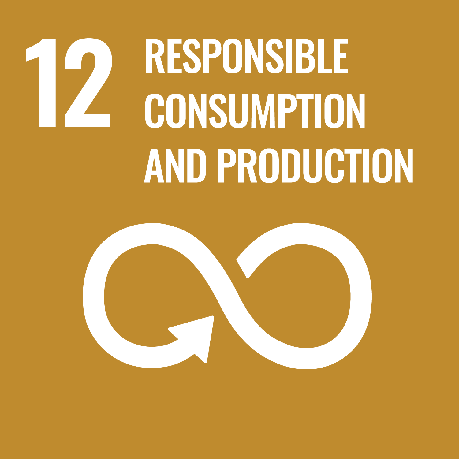 UN sustainable development goal 12 responsible consumption and production