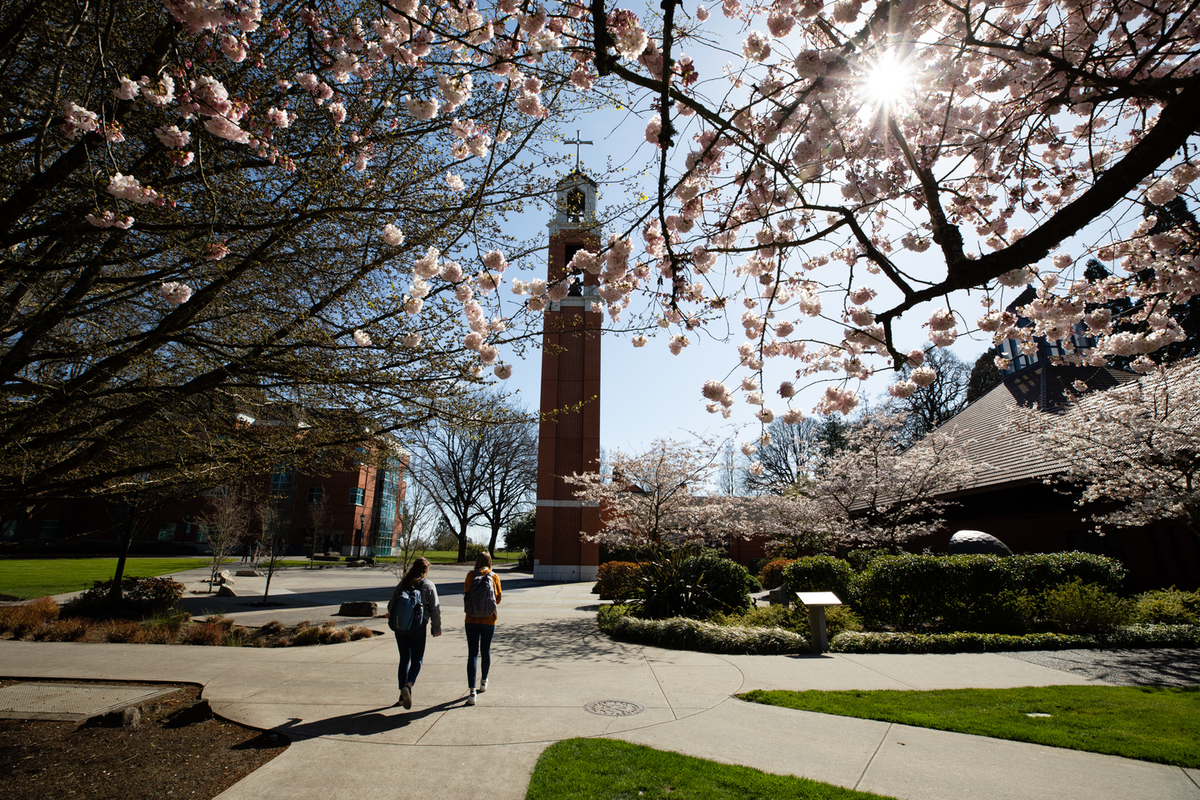 University of Portland highlight image